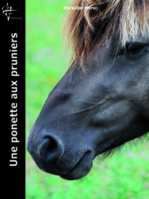 cover image of Une ponette aux Pruniers